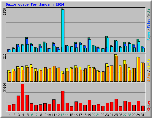 Daily usage for January 2024