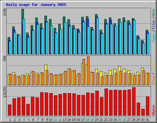 Daily usage for January 2025
