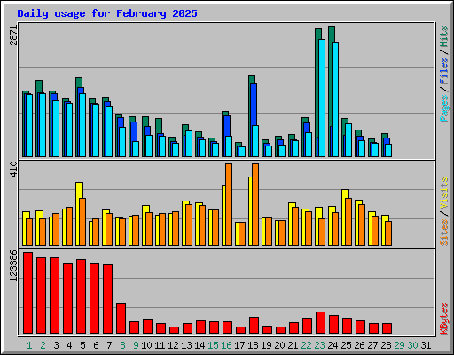 Daily usage for February 2025