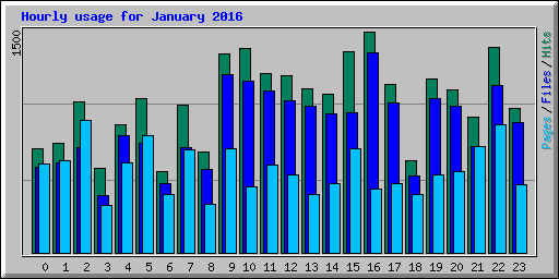 Hourly usage for January 2016