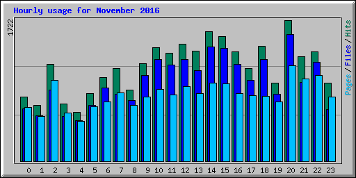 Hourly usage for November 2016
