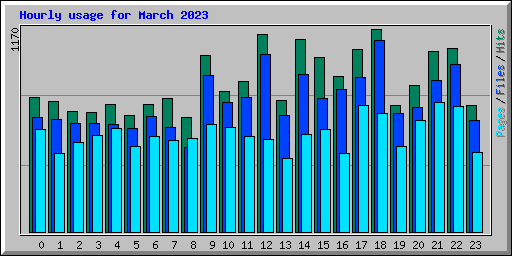 Hourly usage for March 2023