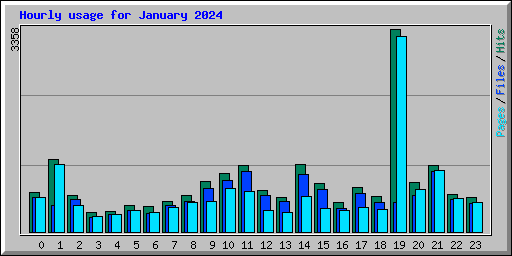 Hourly usage for January 2024