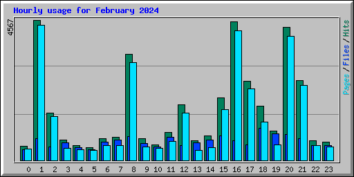 Hourly usage for February 2024