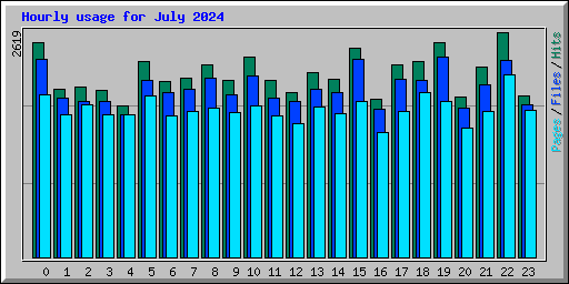 Hourly usage for July 2024