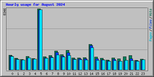 Hourly usage for August 2024
