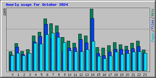Hourly usage for October 2024