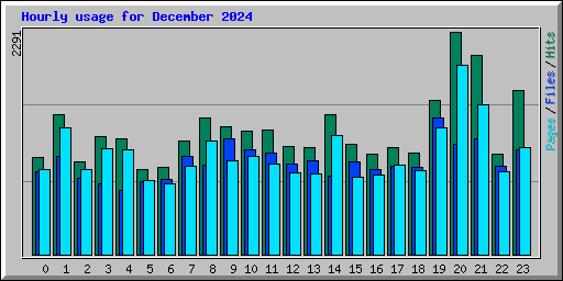 Hourly usage for December 2024