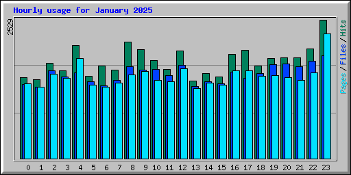 Hourly usage for January 2025