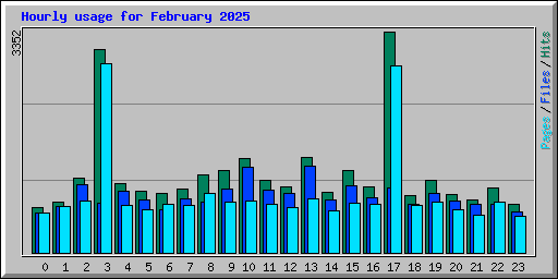 Hourly usage for February 2025