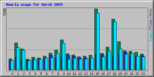 Hourly usage for March 2025