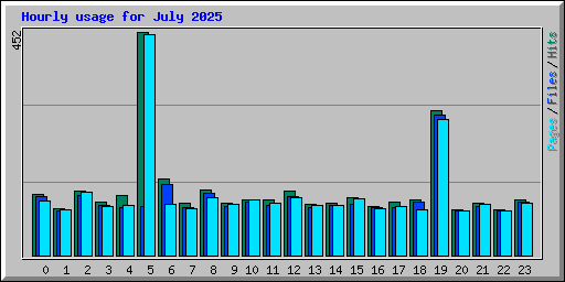 Hourly usage for July 2025