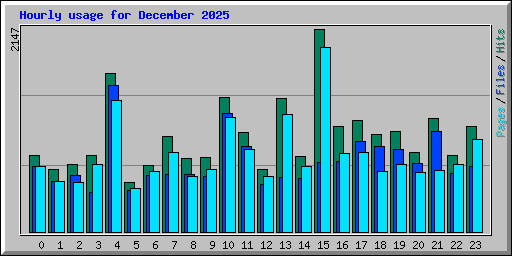 Hourly usage for December 2025